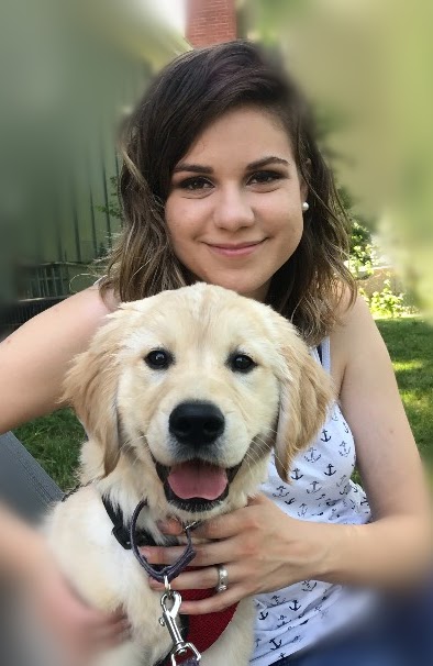 Grace, golden retriever dam