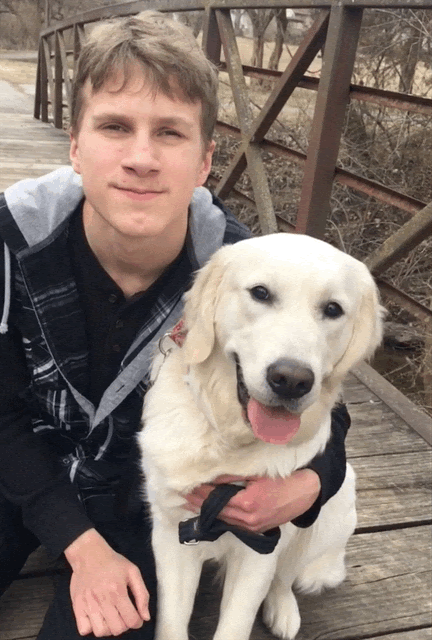 Jenny, golden retriever dam