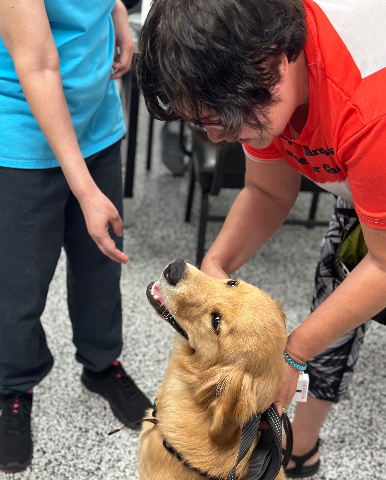 Brookside Pet Studio for Dogs training session